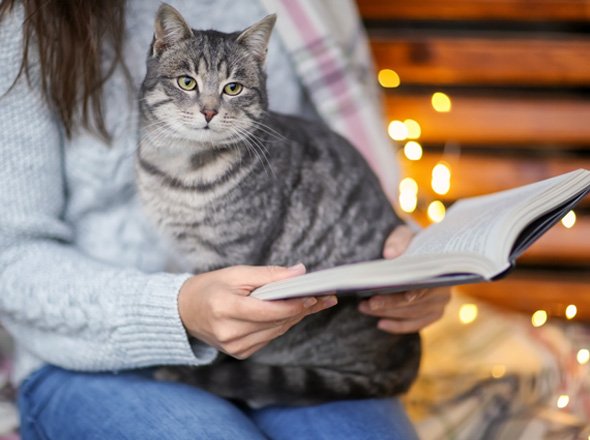 Residencia y guardería canina